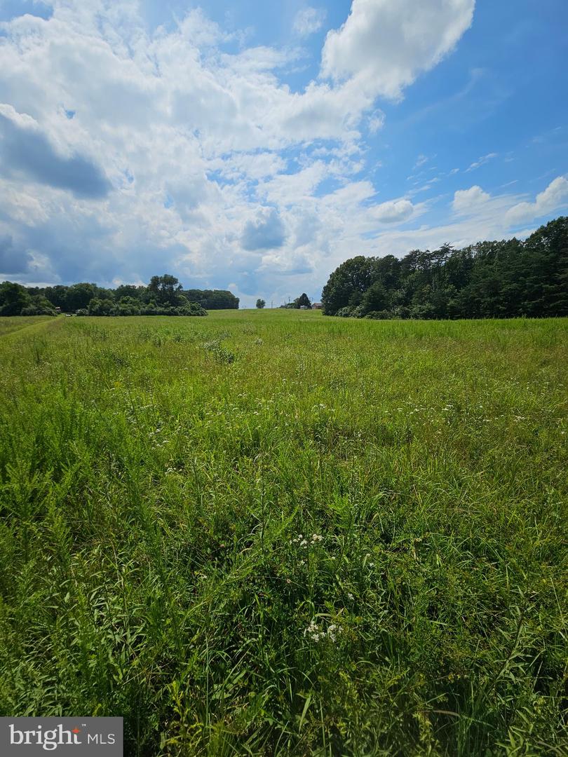 11145 BRENT TOWN RD, CATLETT, Virginia 20119, ,Land,For sale,11145 BRENT TOWN RD,VAFQ2017484 MLS # VAFQ2017484