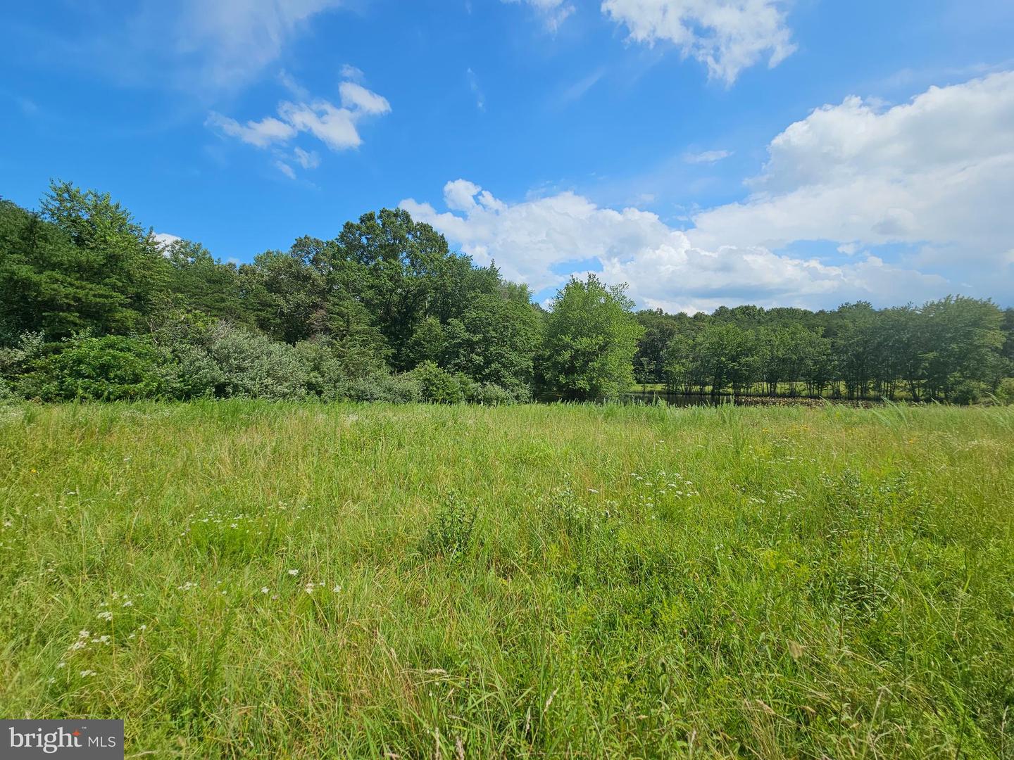 11145 BRENT TOWN RD, CATLETT, Virginia 20119, ,Land,For sale,11145 BRENT TOWN RD,VAFQ2017484 MLS # VAFQ2017484