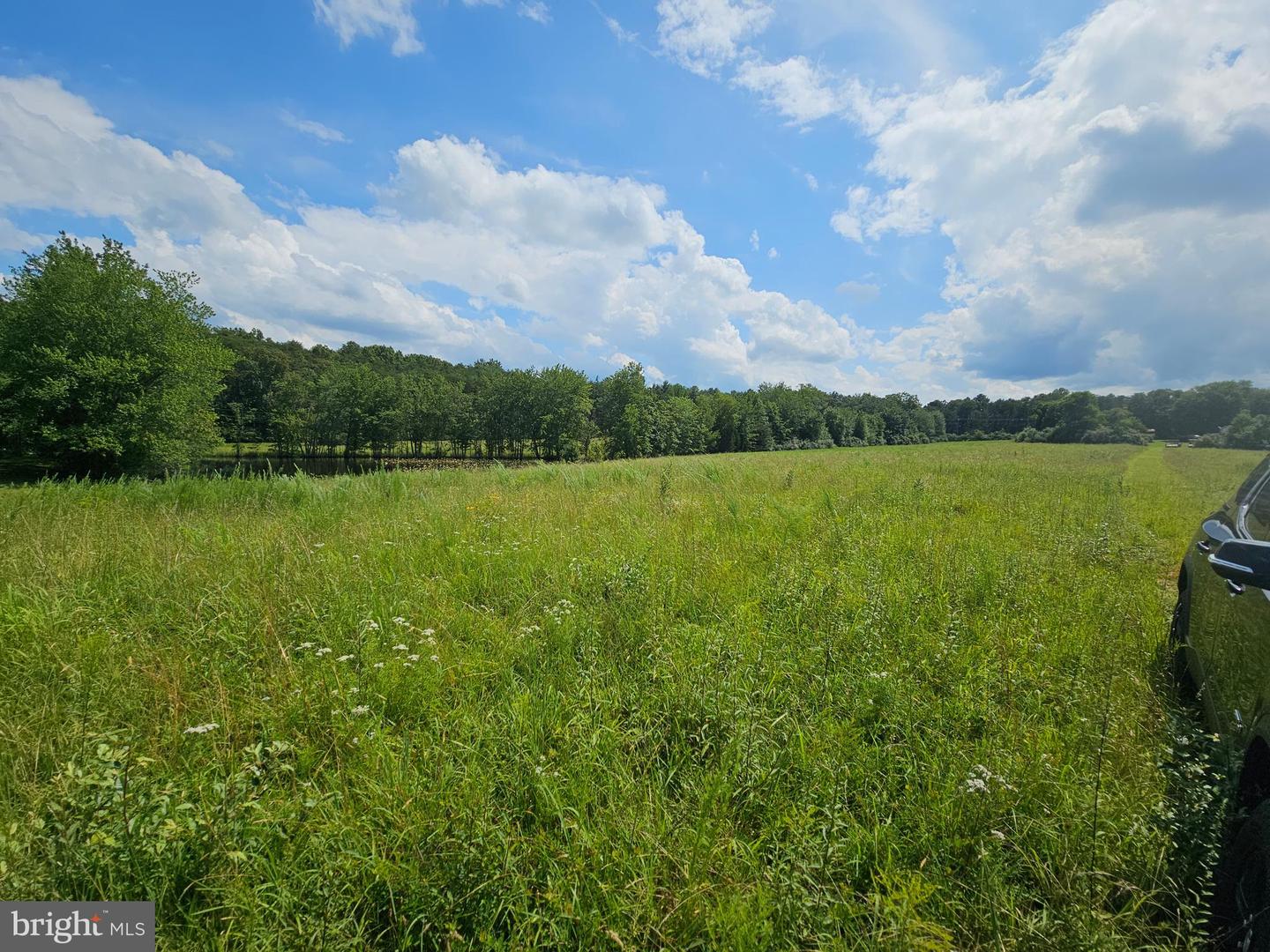 11145 BRENT TOWN RD, CATLETT, Virginia 20119, ,Land,For sale,11145 BRENT TOWN RD,VAFQ2017484 MLS # VAFQ2017484