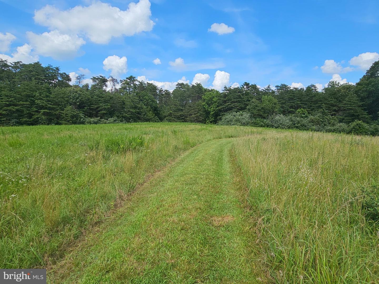 11145 BRENT TOWN RD, CATLETT, Virginia 20119, ,Land,For sale,11145 BRENT TOWN RD,VAFQ2017484 MLS # VAFQ2017484