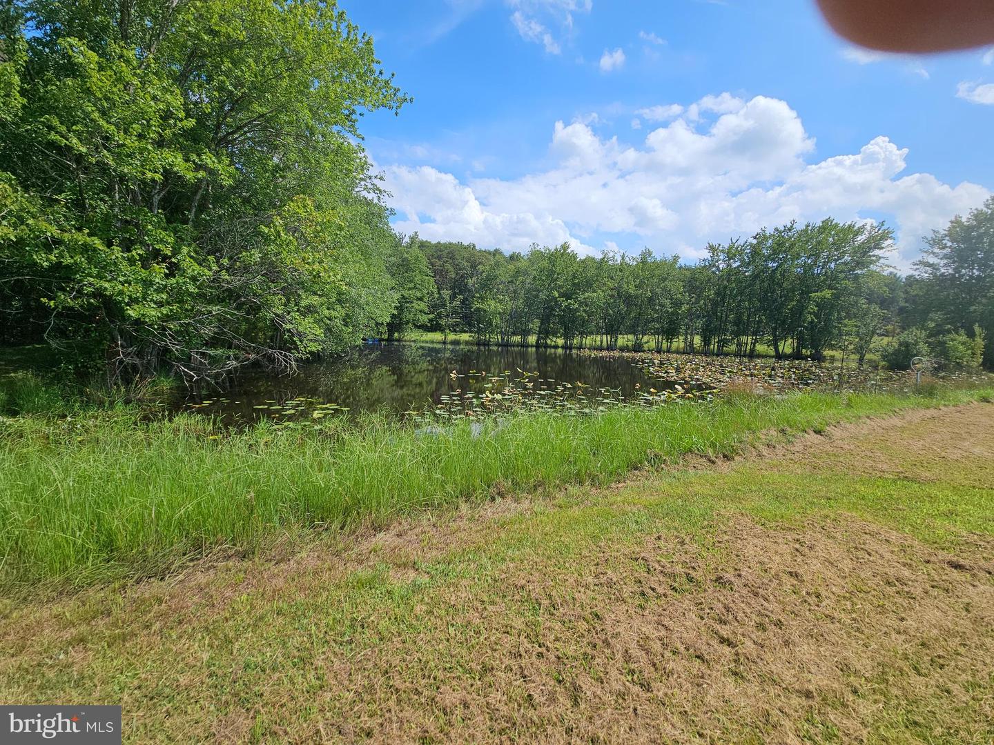 11145 BRENT TOWN RD, CATLETT, Virginia 20119, ,Land,For sale,11145 BRENT TOWN RD,VAFQ2017484 MLS # VAFQ2017484