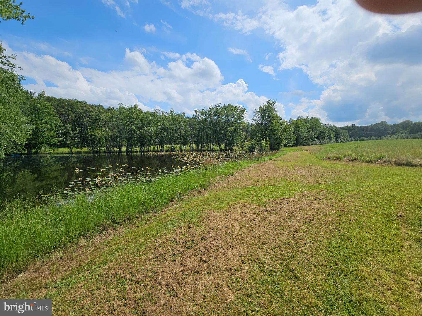 11145 BRENT TOWN RD, CATLETT, Virginia 20119, ,Land,For sale,11145 BRENT TOWN RD,VAFQ2017484 MLS # VAFQ2017484