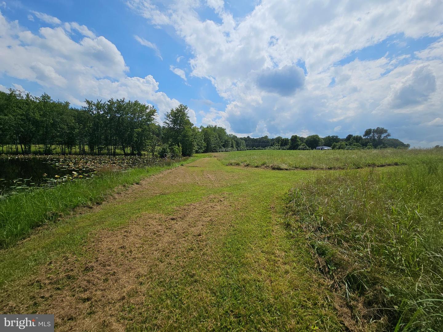 11145 BRENT TOWN RD, CATLETT, Virginia 20119, ,Land,For sale,11145 BRENT TOWN RD,VAFQ2017484 MLS # VAFQ2017484