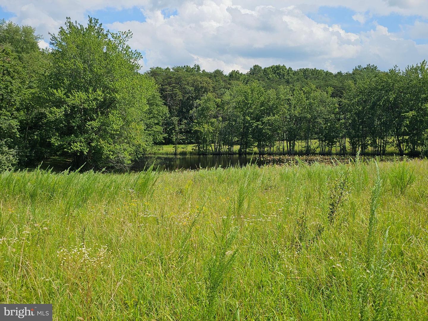 11145 BRENT TOWN RD, CATLETT, Virginia 20119, ,Land,For sale,11145 BRENT TOWN RD,VAFQ2017484 MLS # VAFQ2017484