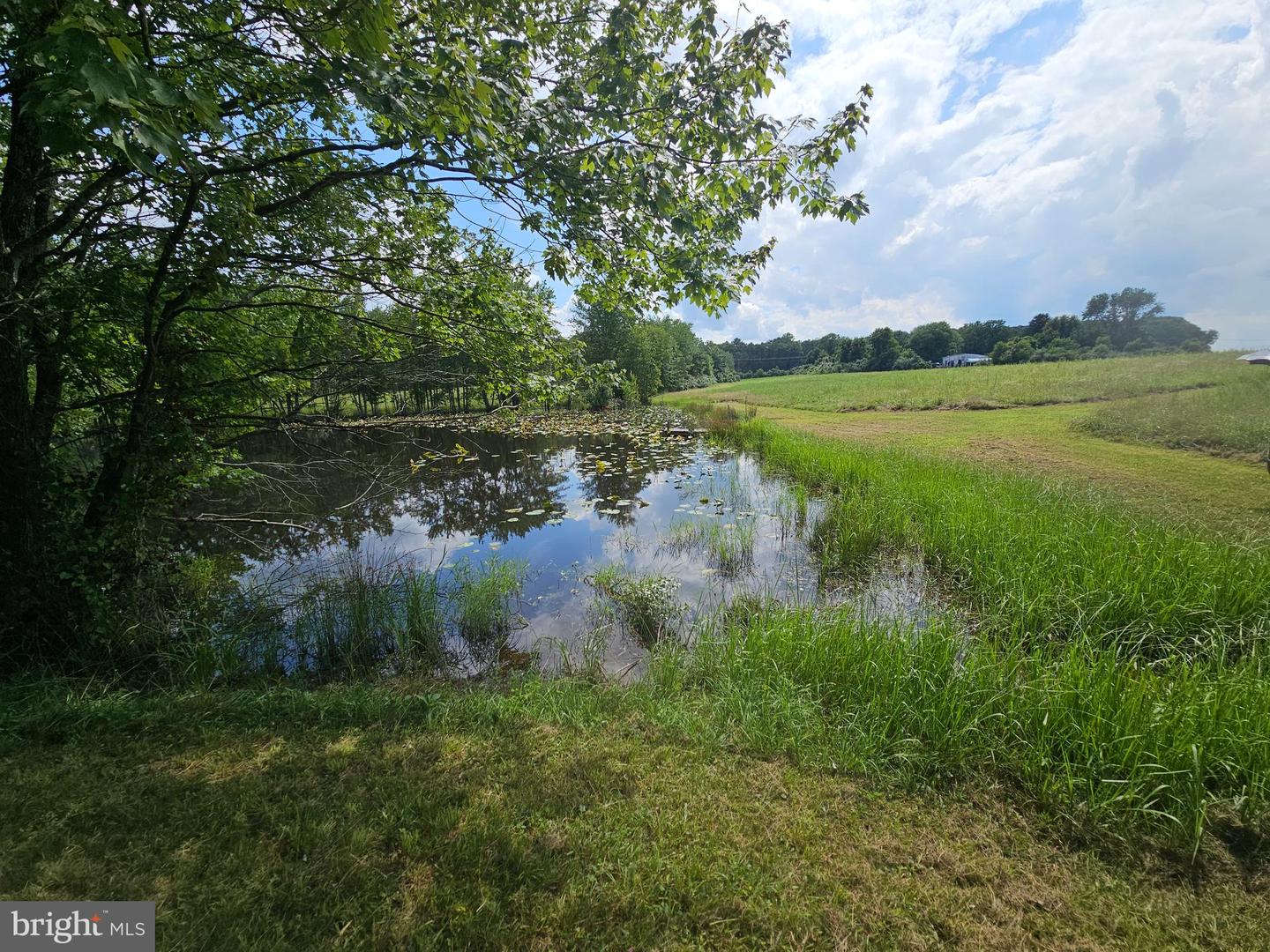 11145 BRENT TOWN RD, CATLETT, Virginia 20119, ,Land,For sale,11145 BRENT TOWN RD,VAFQ2017484 MLS # VAFQ2017484