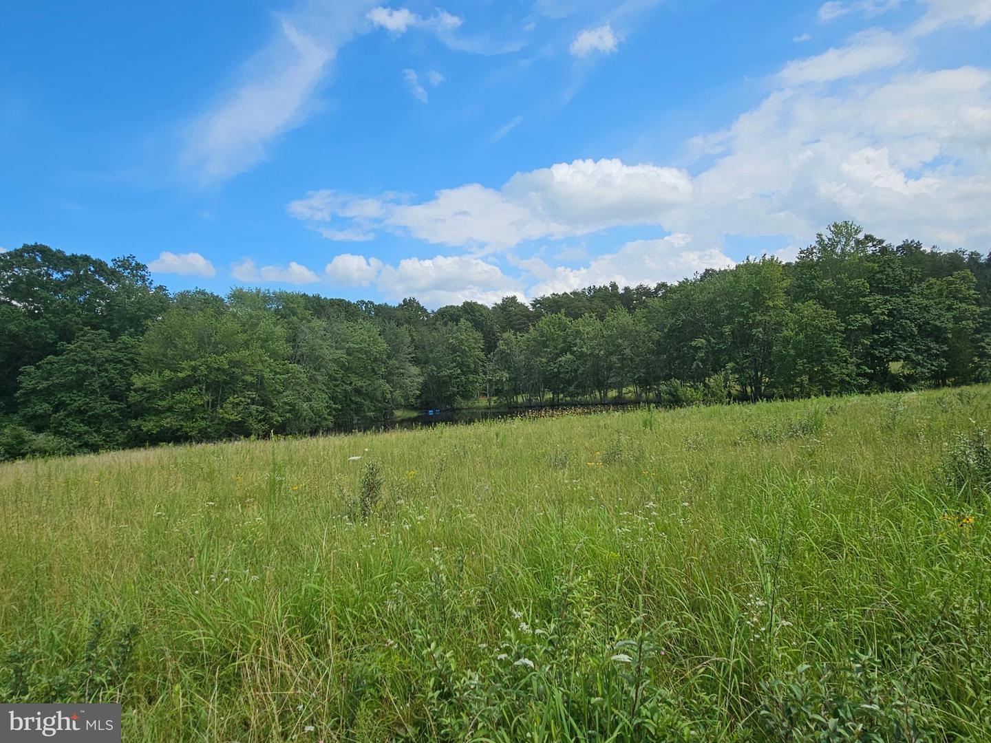 11145 BRENT TOWN RD, CATLETT, Virginia 20119, ,Land,For sale,11145 BRENT TOWN RD,VAFQ2017484 MLS # VAFQ2017484