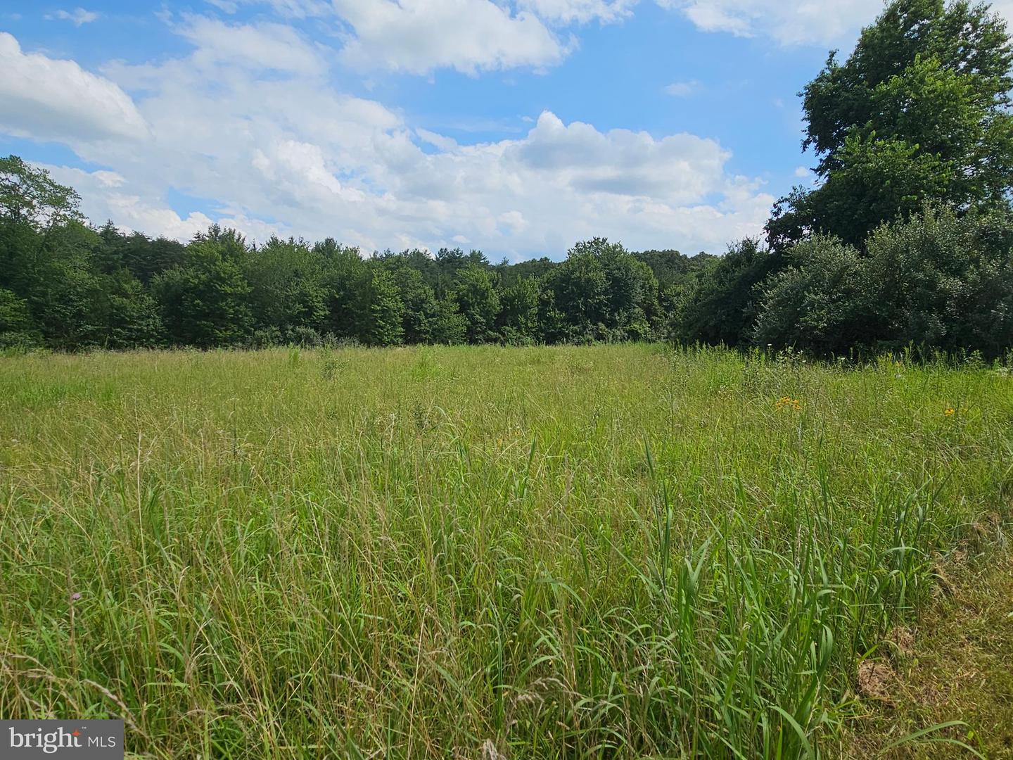 11145 BRENT TOWN RD, CATLETT, Virginia 20119, ,Land,For sale,11145 BRENT TOWN RD,VAFQ2017484 MLS # VAFQ2017484