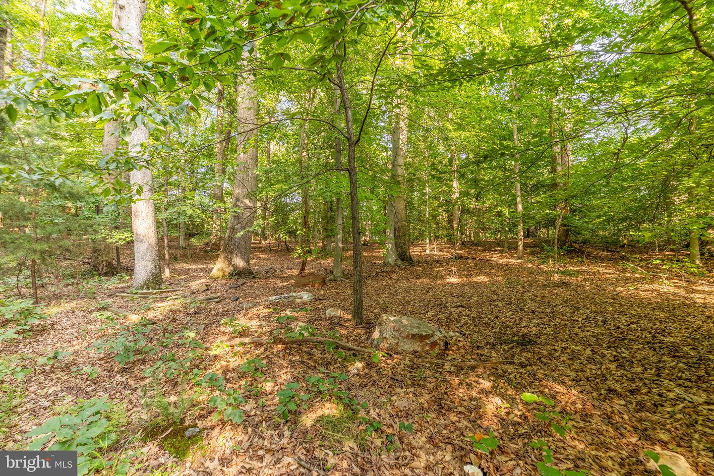 11322 LONG MANOR DR, FAIRFAX STATION, Virginia 22039, ,Land,For sale,11322 LONG MANOR DR,VAFX2256472 MLS # VAFX2256472