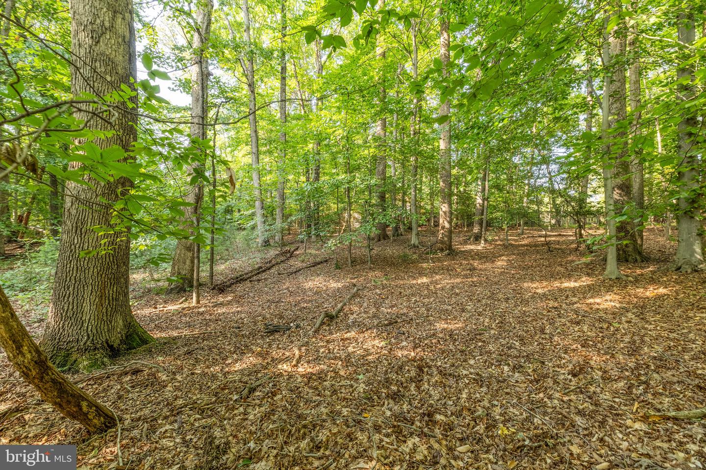 11322 LONG MANOR DR, FAIRFAX STATION, Virginia 22039, ,Land,For sale,11322 LONG MANOR DR,VAFX2256472 MLS # VAFX2256472