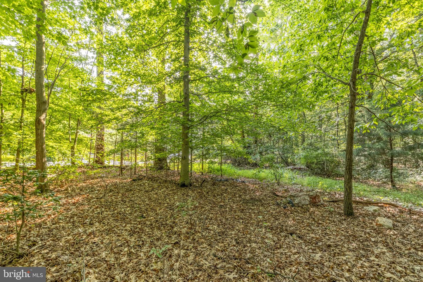 11322 LONG MANOR DR, FAIRFAX STATION, Virginia 22039, ,Land,For sale,11322 LONG MANOR DR,VAFX2256472 MLS # VAFX2256472