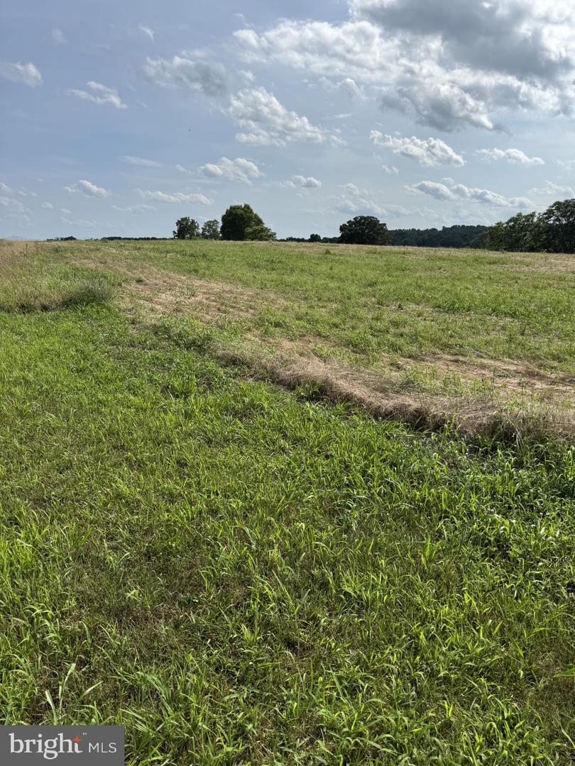 LOT 1 GLEBE DR, CLEAR BROOK, Virginia 22624, ,Land,For sale,LOT 1 GLEBE DR,VAFV2035552 MLS # VAFV2035552