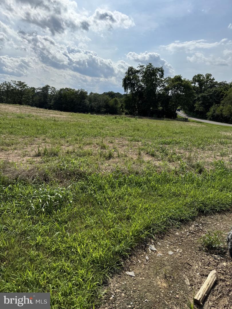 LOT 1 GLEBE DR, CLEAR BROOK, Virginia 22624, ,Land,For sale,LOT 1 GLEBE DR,VAFV2035552 MLS # VAFV2035552