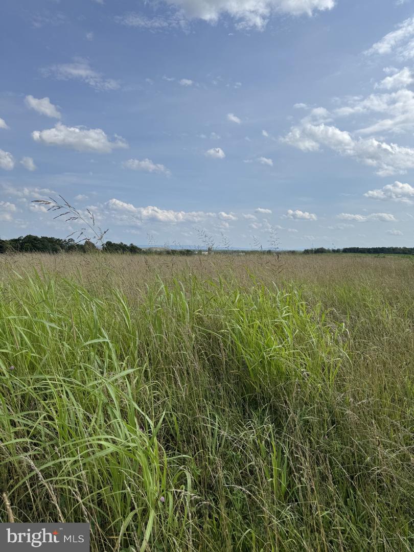 LOT 2 GLEBE DR, CLEAR BROOK, Virginia 22624, ,Land,For sale,LOT 2 GLEBE DR,VAFV2035556 MLS # VAFV2035556