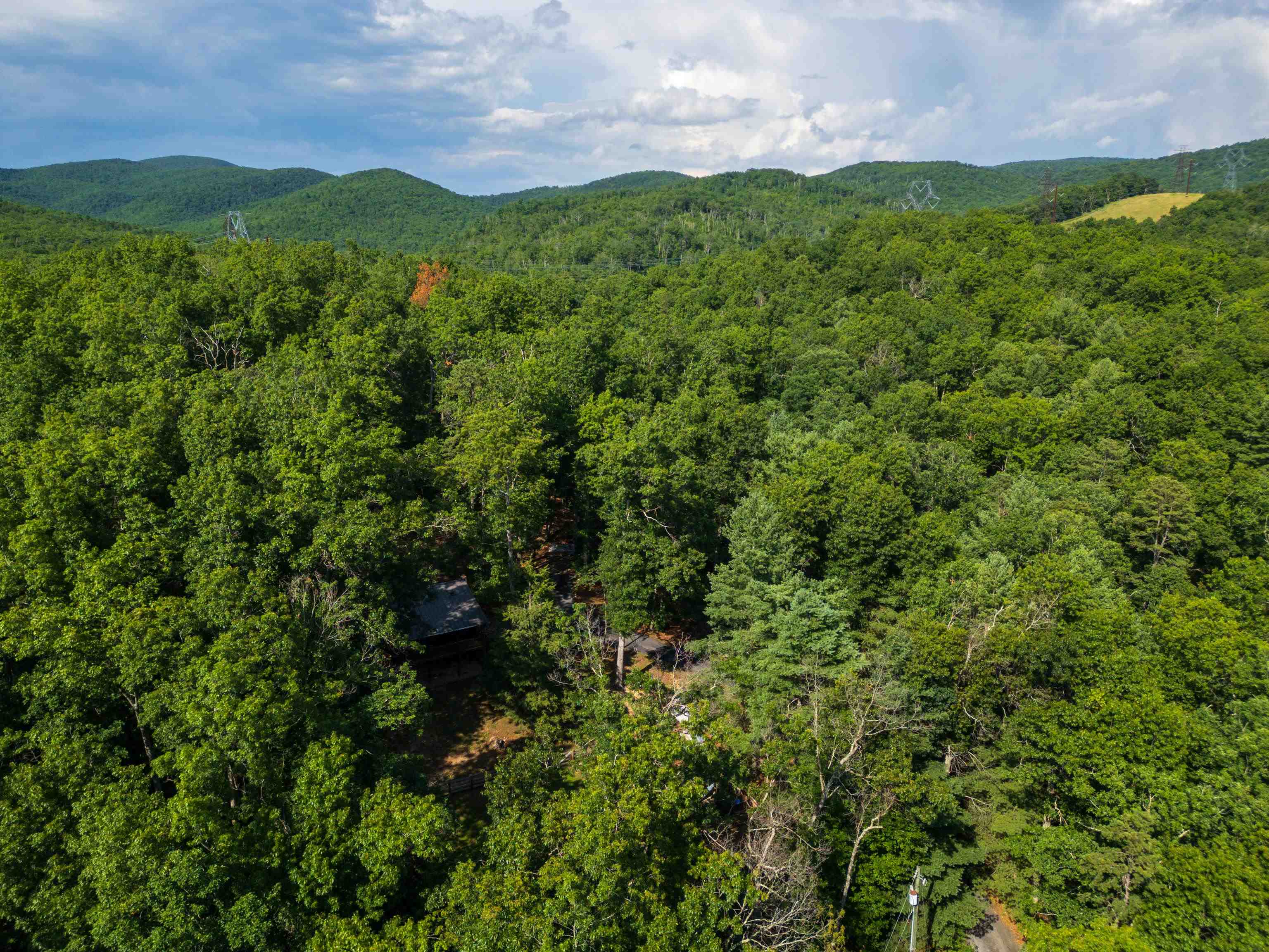 1363 CALF MOUNTAIN RD, WAYNESBORO, Virginia 22980, 3 Bedrooms Bedrooms, ,2 BathroomsBathrooms,Residential,1363 CALF MOUNTAIN RD,667004 MLS # 667004