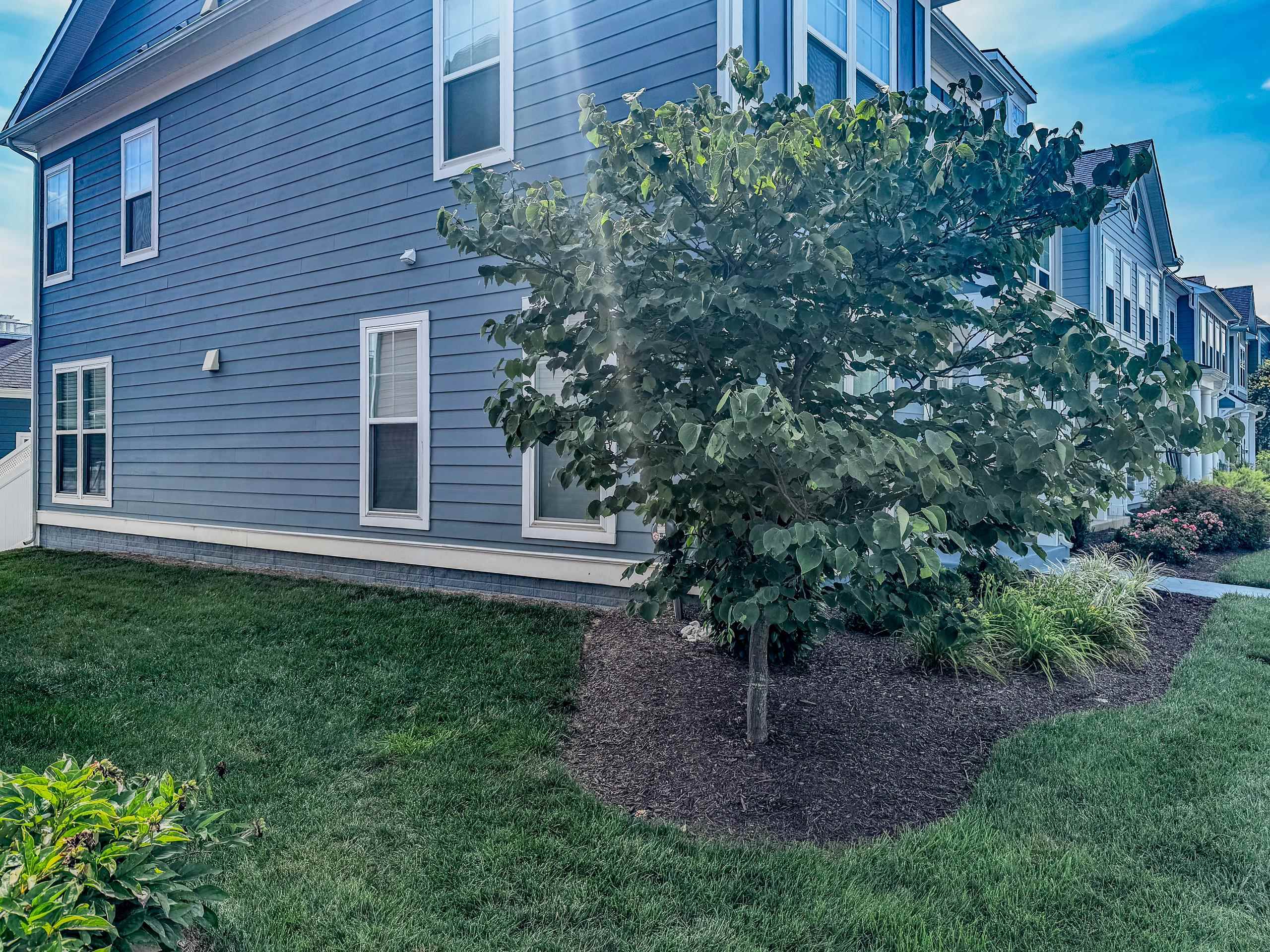 3406 CHARLESTON BLVD, ROCKINGHAM, Virginia 22801, 3 Bedrooms Bedrooms, ,2 BathroomsBathrooms,Residential,3406 CHARLESTON BLVD,667005 MLS # 667005