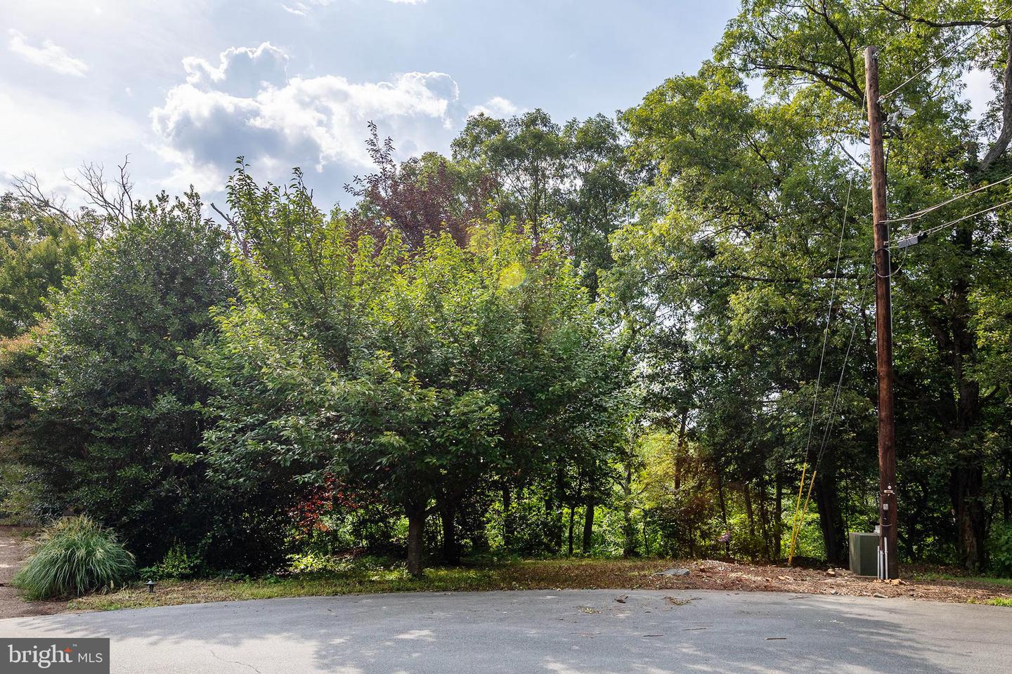 0 OAK RIDGE, WINCHESTER, Virginia 22602, ,Land,For sale,0 OAK RIDGE,VAFV2035504 MLS # VAFV2035504