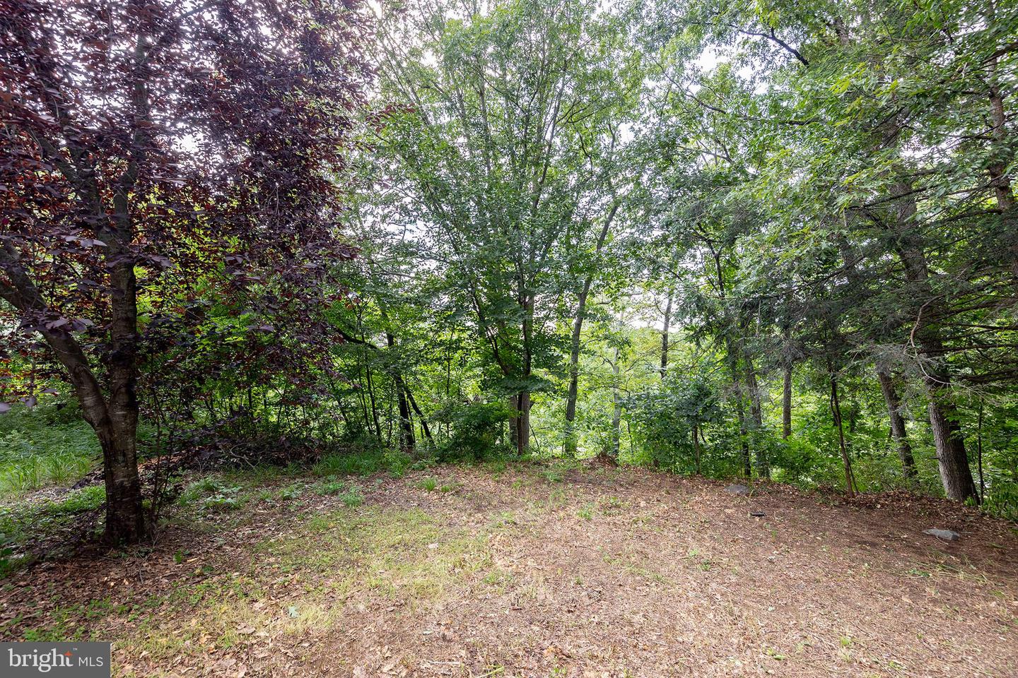 0 OAK RIDGE, WINCHESTER, Virginia 22602, ,Land,For sale,0 OAK RIDGE,VAFV2035504 MLS # VAFV2035504