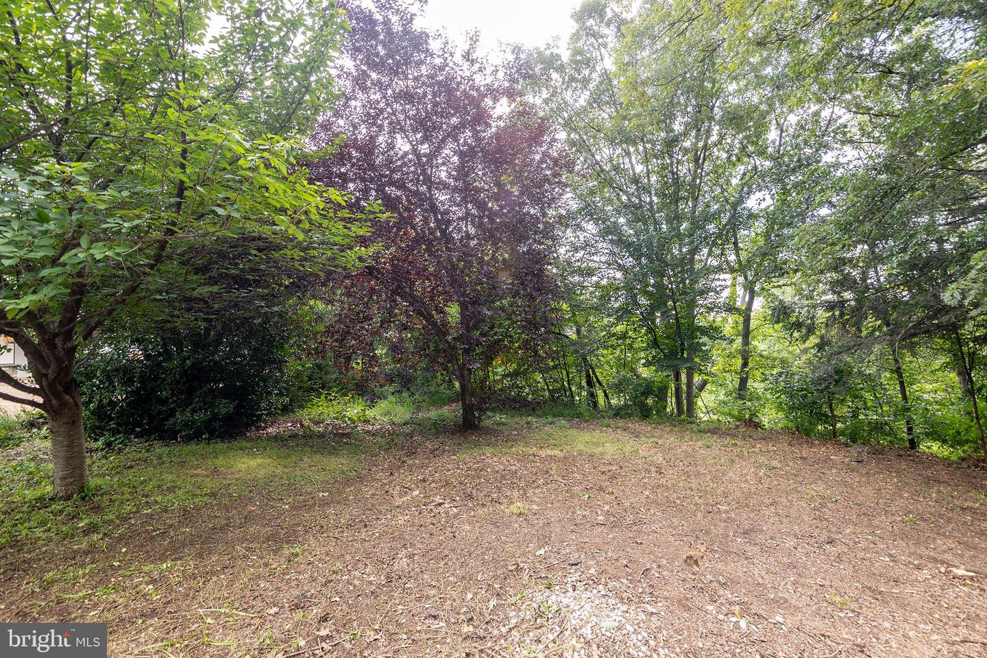 0 OAK RIDGE, WINCHESTER, Virginia 22602, ,Land,For sale,0 OAK RIDGE,VAFV2035504 MLS # VAFV2035504