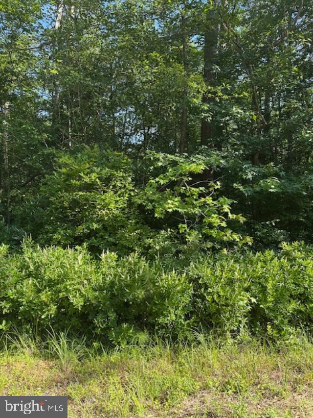 LOT 22 LAKE DRIVE, COLONIAL BEACH, Virginia 22443, ,Land,For sale,LOT 22 LAKE DRIVE,VAWE2009320 MLS # VAWE2009320