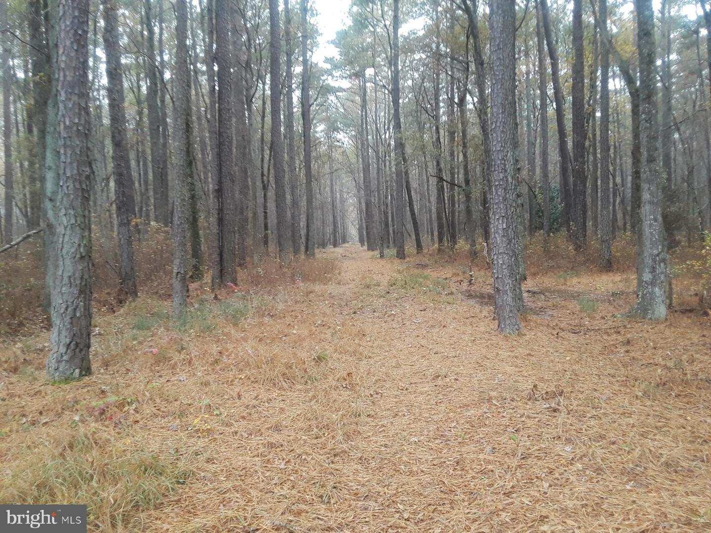 6902 DELLWOOD ST, HENRICO, Virginia 23228, ,Land,For sale,6902 DELLWOOD ST,VAHN2000994 MLS # VAHN2000994