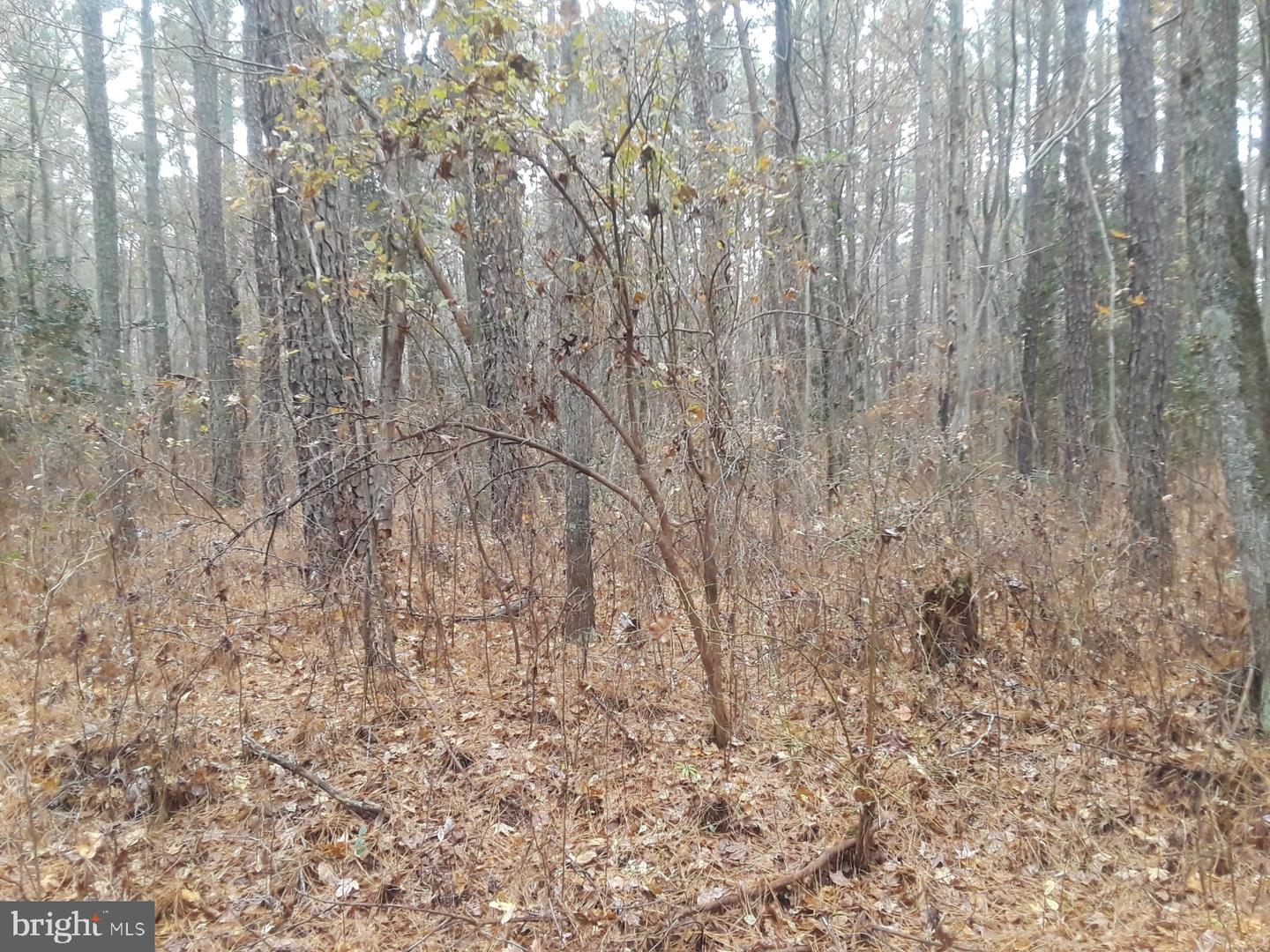 6902 DELLWOOD ST, HENRICO, Virginia 23228, ,Land,For sale,6902 DELLWOOD ST,VAHN2000994 MLS # VAHN2000994