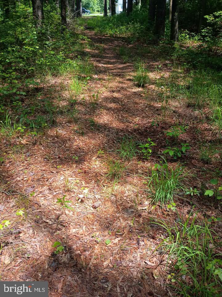 6902 DELLWOOD ST, HENRICO, Virginia 23228, ,Land,For sale,6902 DELLWOOD ST,VAHN2000994 MLS # VAHN2000994