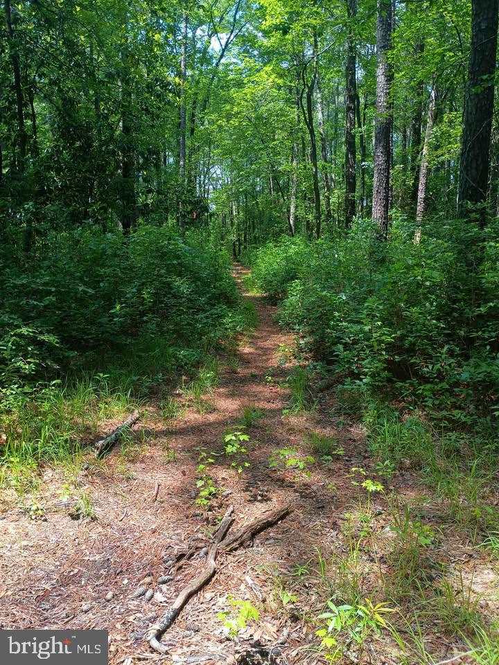 6902 DELLWOOD ST, HENRICO, Virginia 23228, ,Land,For sale,6902 DELLWOOD ST,VAHN2000994 MLS # VAHN2000994
