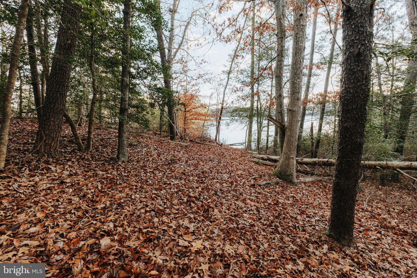 TBD PINTAIL LN, HEATHSVILLE, Virginia 22473, ,Land,For sale,TBD PINTAIL LN,VANV2001690 MLS # VANV2001690