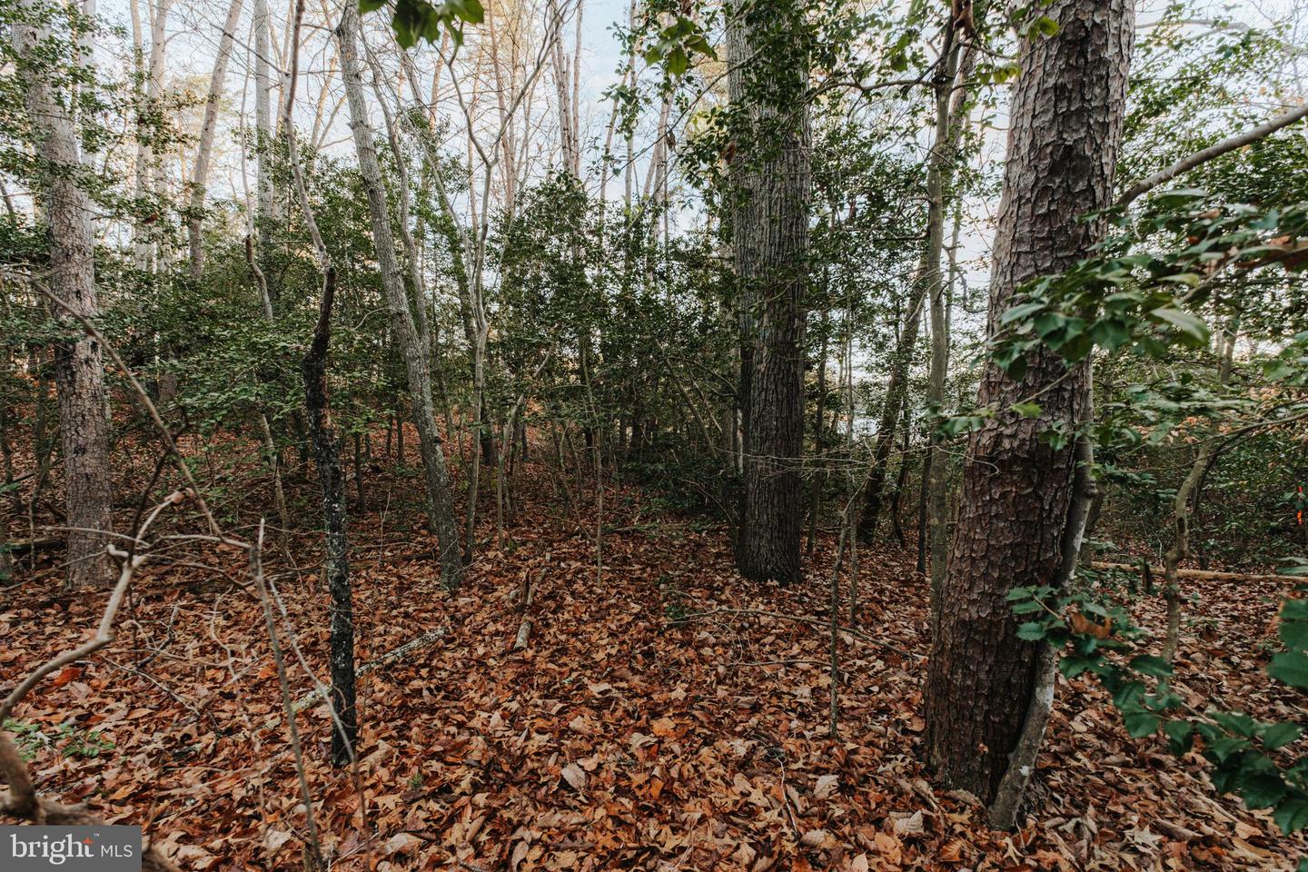 TBD PINTAIL LN, HEATHSVILLE, Virginia 22473, ,Land,For sale,TBD PINTAIL LN,VANV2001690 MLS # VANV2001690