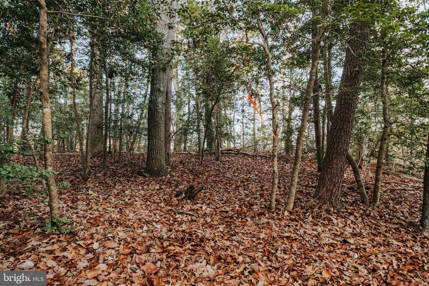 TBD PINTAIL LN, HEATHSVILLE, Virginia 22473, ,Land,For sale,TBD PINTAIL LN,VANV2001690 MLS # VANV2001690