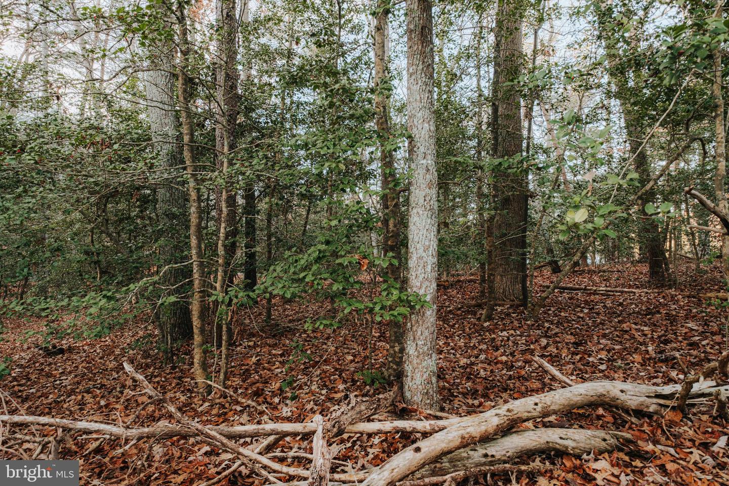 TBD PINTAIL LN, HEATHSVILLE, Virginia 22473, ,Land,For sale,TBD PINTAIL LN,VANV2001690 MLS # VANV2001690
