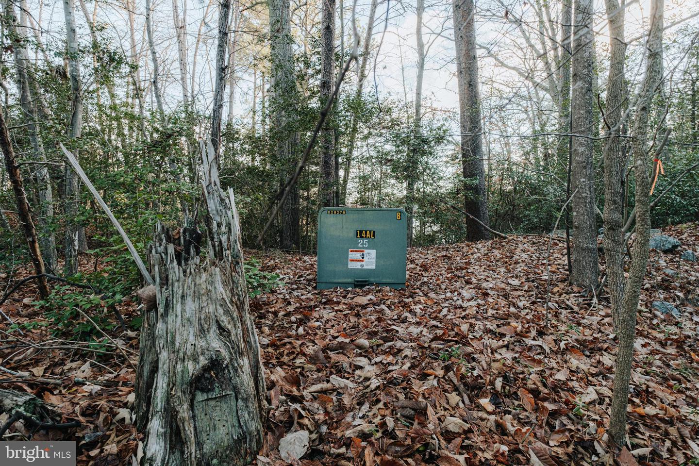 TBD PINTAIL LN, HEATHSVILLE, Virginia 22473, ,Land,For sale,TBD PINTAIL LN,VANV2001690 MLS # VANV2001690