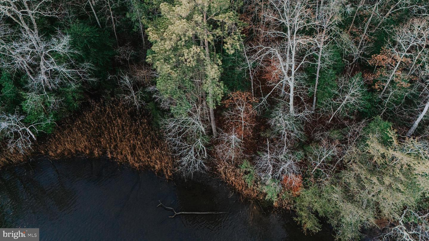 TBD PINTAIL LN, HEATHSVILLE, Virginia 22473, ,Land,For sale,TBD PINTAIL LN,VANV2001690 MLS # VANV2001690