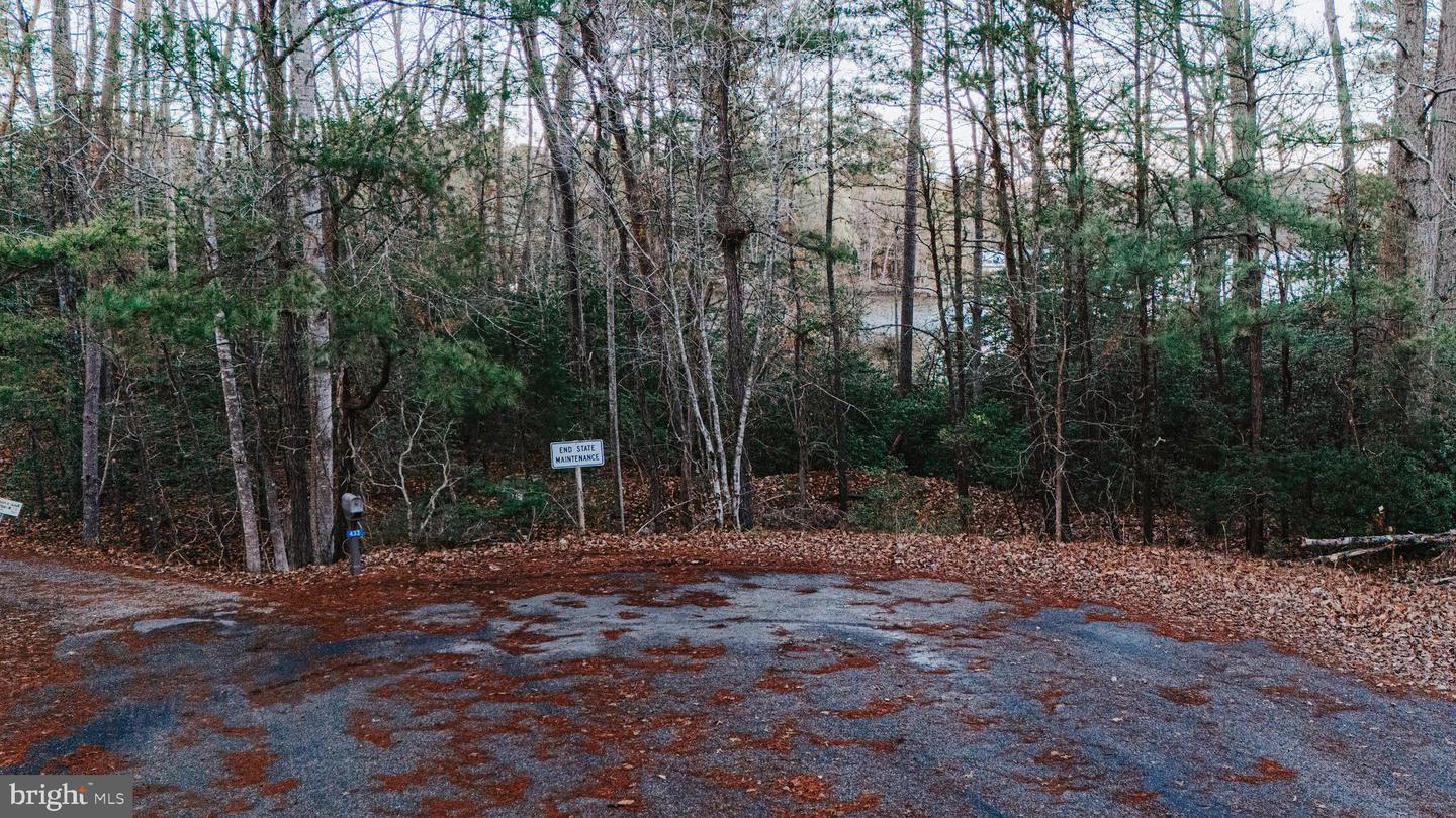 TBD PINTAIL LN, HEATHSVILLE, Virginia 22473, ,Land,For sale,TBD PINTAIL LN,VANV2001690 MLS # VANV2001690