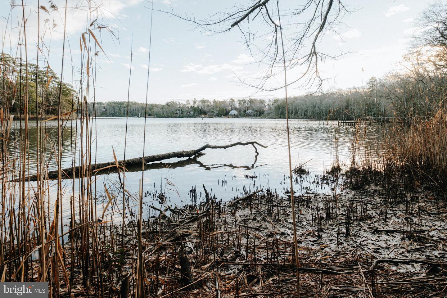 TBD PINTAIL LN, HEATHSVILLE, Virginia 22473, ,Land,For sale,TBD PINTAIL LN,VANV2001690 MLS # VANV2001690