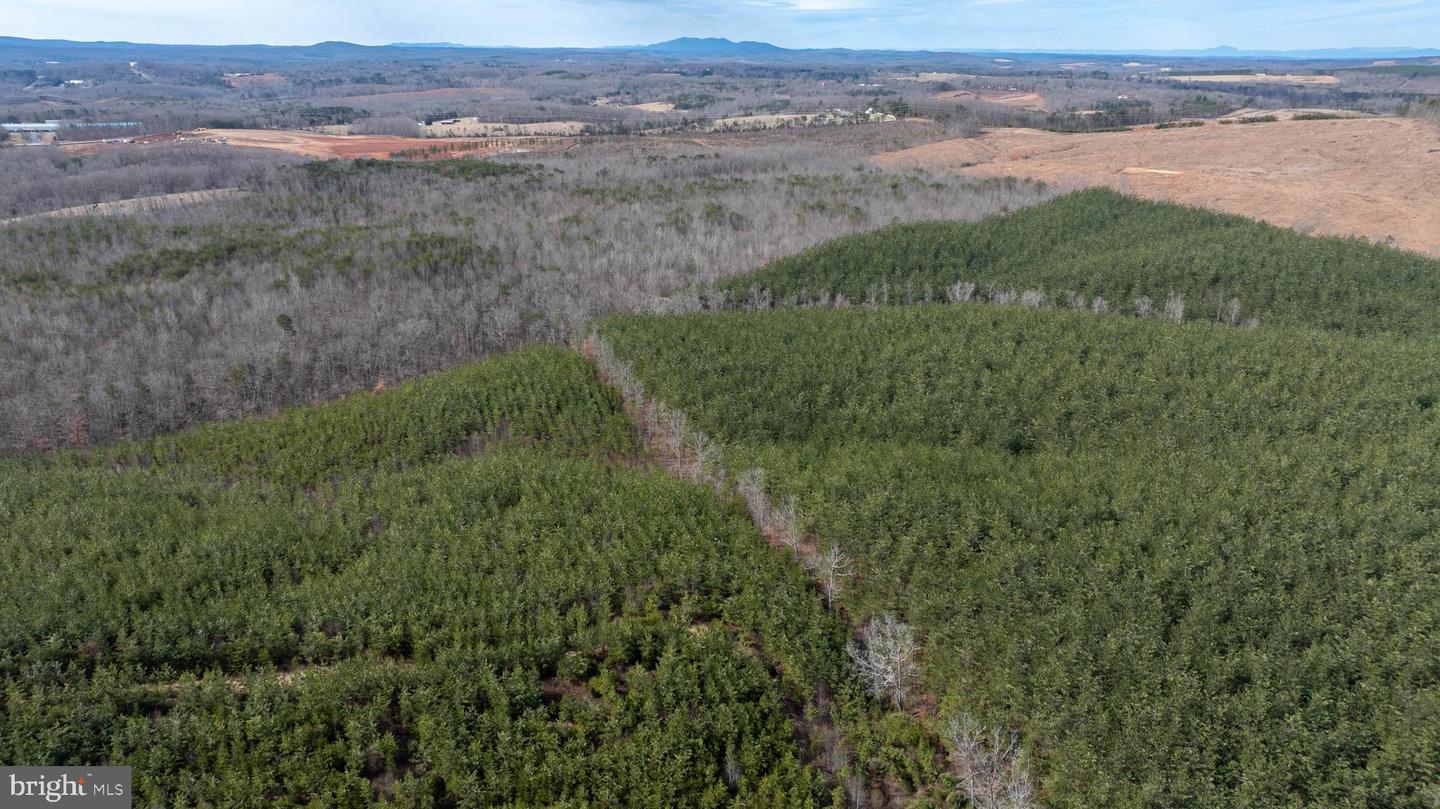 TBD TARDY MOUNTAIN ROAD #7, ALTAVISTA, Virginia 24517, ,Land,For sale,TBD TARDY MOUNTAIN ROAD #7,VACP2000094 MLS # VACP2000094