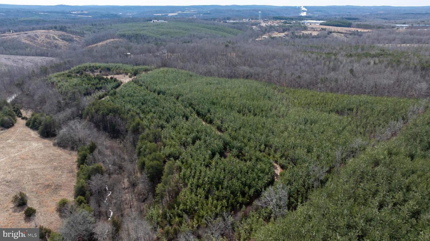 TBD TARDY MOUNTAIN ROAD #7, ALTAVISTA, Virginia 24517, ,Land,For sale,TBD TARDY MOUNTAIN ROAD #7,VACP2000094 MLS # VACP2000094