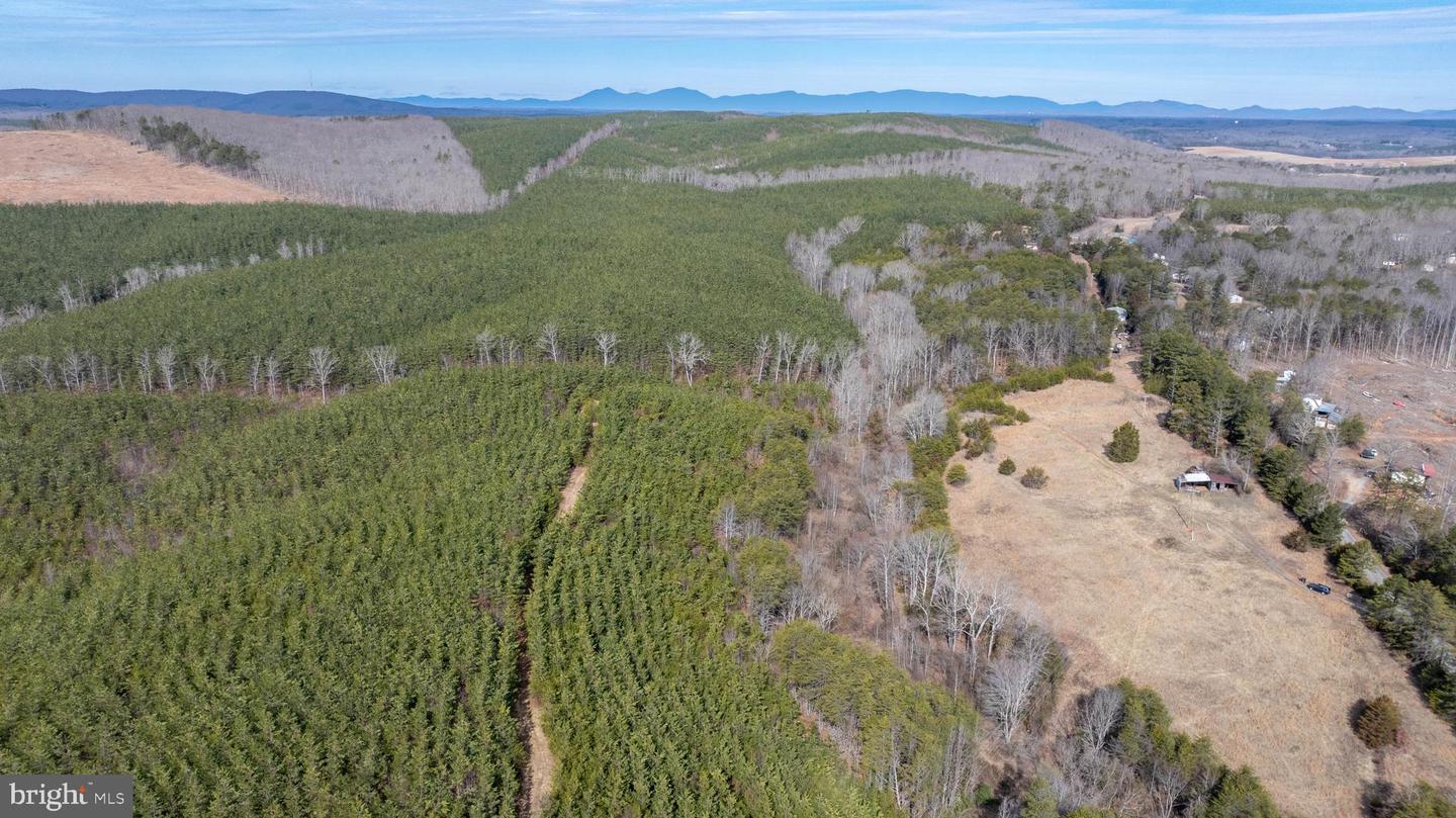 TBD TARDY MOUNTAIN ROAD #7, ALTAVISTA, Virginia 24517, ,Land,For sale,TBD TARDY MOUNTAIN ROAD #7,VACP2000094 MLS # VACP2000094