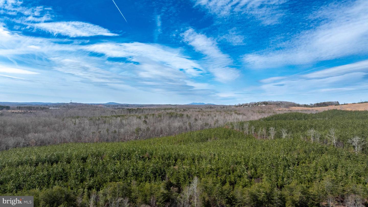 TBD TARDY MOUNTAIN ROAD #7, ALTAVISTA, Virginia 24517, ,Land,For sale,TBD TARDY MOUNTAIN ROAD #7,VACP2000094 MLS # VACP2000094