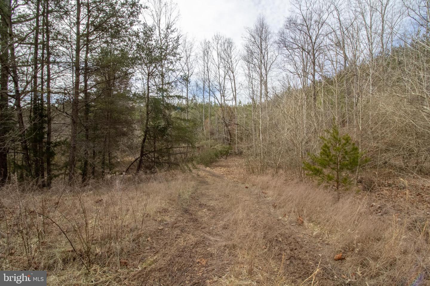TBD TARDY MOUNTAIN ROAD #7, ALTAVISTA, Virginia 24517, ,Land,For sale,TBD TARDY MOUNTAIN ROAD #7,VACP2000094 MLS # VACP2000094