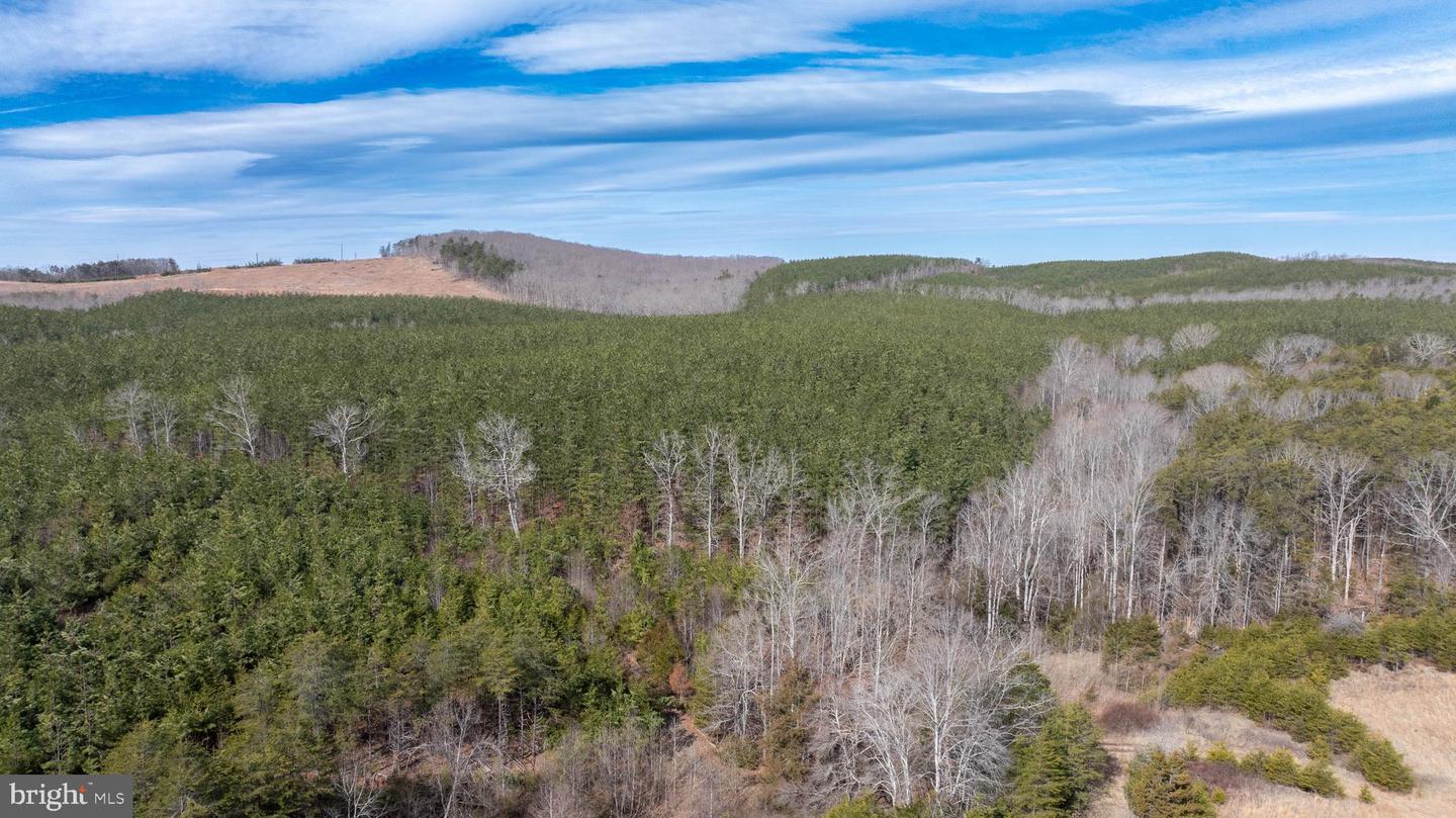 TBD TARDY MOUNTAIN ROAD #7, ALTAVISTA, Virginia 24517, ,Land,For sale,TBD TARDY MOUNTAIN ROAD #7,VACP2000094 MLS # VACP2000094