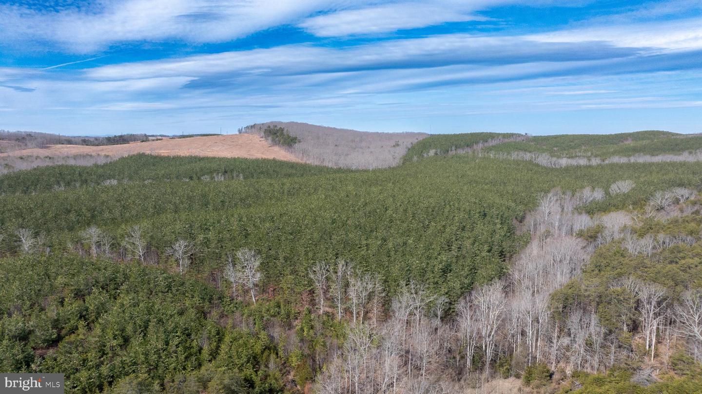 TBD TARDY MOUNTAIN ROAD #7, ALTAVISTA, Virginia 24517, ,Land,For sale,TBD TARDY MOUNTAIN ROAD #7,VACP2000094 MLS # VACP2000094