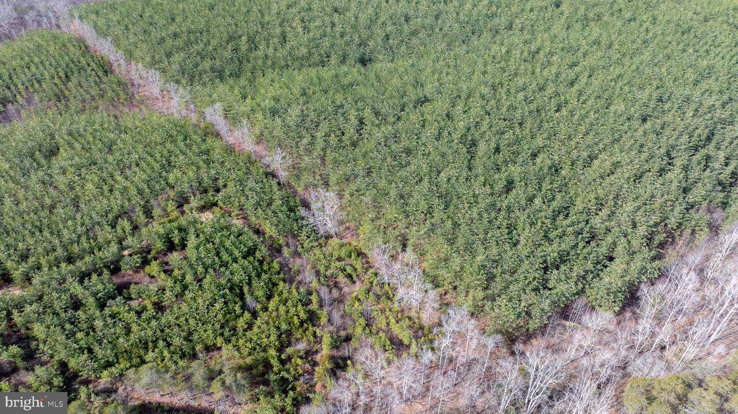 TBD TARDY MOUNTAIN ROAD #7, ALTAVISTA, Virginia 24517, ,Land,For sale,TBD TARDY MOUNTAIN ROAD #7,VACP2000094 MLS # VACP2000094