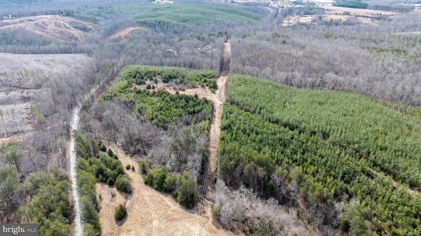 TBD TARDY MOUNTAIN ROAD #7, ALTAVISTA, Virginia 24517, ,Land,For sale,TBD TARDY MOUNTAIN ROAD #7,VACP2000094 MLS # VACP2000094