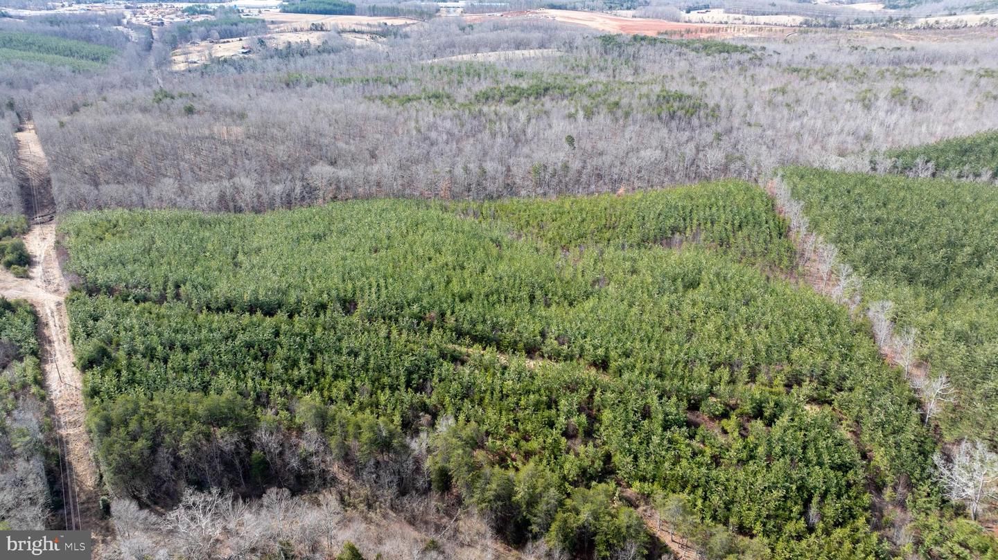 TBD TARDY MOUNTAIN ROAD #7, ALTAVISTA, Virginia 24517, ,Land,For sale,TBD TARDY MOUNTAIN ROAD #7,VACP2000094 MLS # VACP2000094