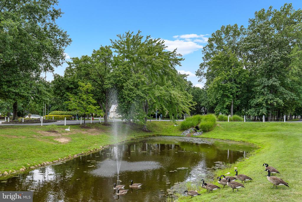 11223 STONE MILL CT, FREDERICKSBURG, Virginia 22407, 3 Bedrooms Bedrooms, ,3 BathroomsBathrooms,Residential,SUMMERLAKE,11223 STONE MILL CT,VASP2034744 MLS # VASP2034744