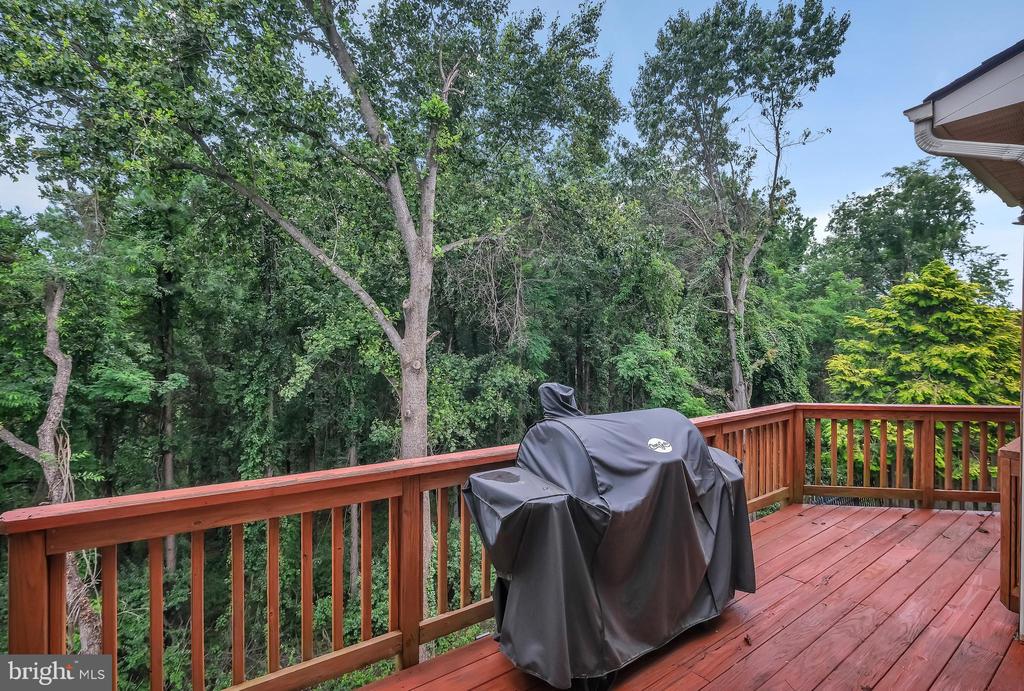 243 CARRIAGE CHASE CIR, WARRENTON, Virginia 20186, 5 Bedrooms Bedrooms, ,4 BathroomsBathrooms,Residential,243 CARRIAGE CHASE CIR,VAFQ2017530 MLS # VAFQ2017530