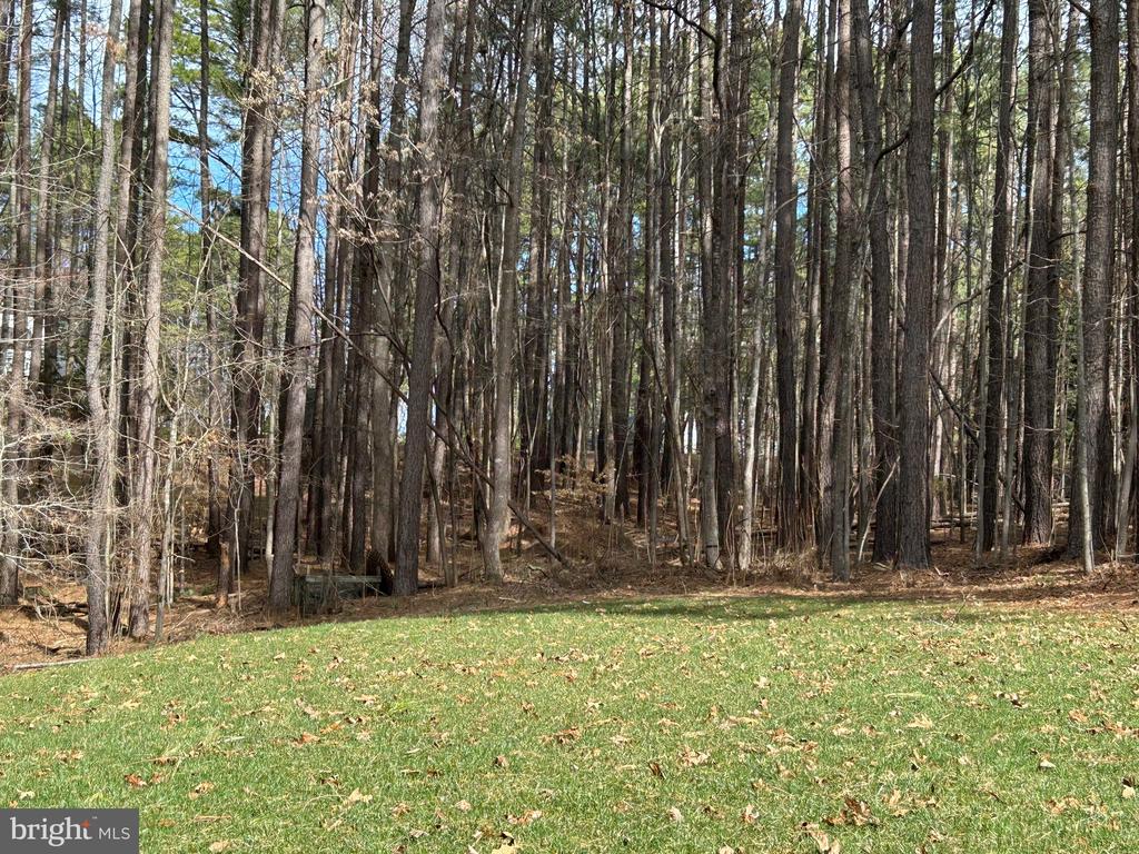 11 COTTONWOOD DR, BARBOURSVILLE, Virginia 22923, 3 Bedrooms Bedrooms, ,2 BathroomsBathrooms,Residential,11 COTTONWOOD DR,VAGR2000742 MLS # VAGR2000742