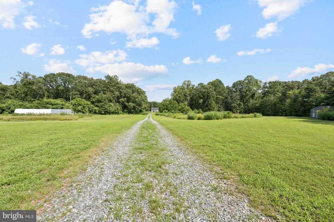 18167 LOCUST GROVE RD, BOWLING GREEN, Virginia 22427, 4 Bedrooms Bedrooms, ,2 BathroomsBathrooms,Residential,For sale,18167 LOCUST GROVE RD,VACV2008514 MLS # VACV2008514