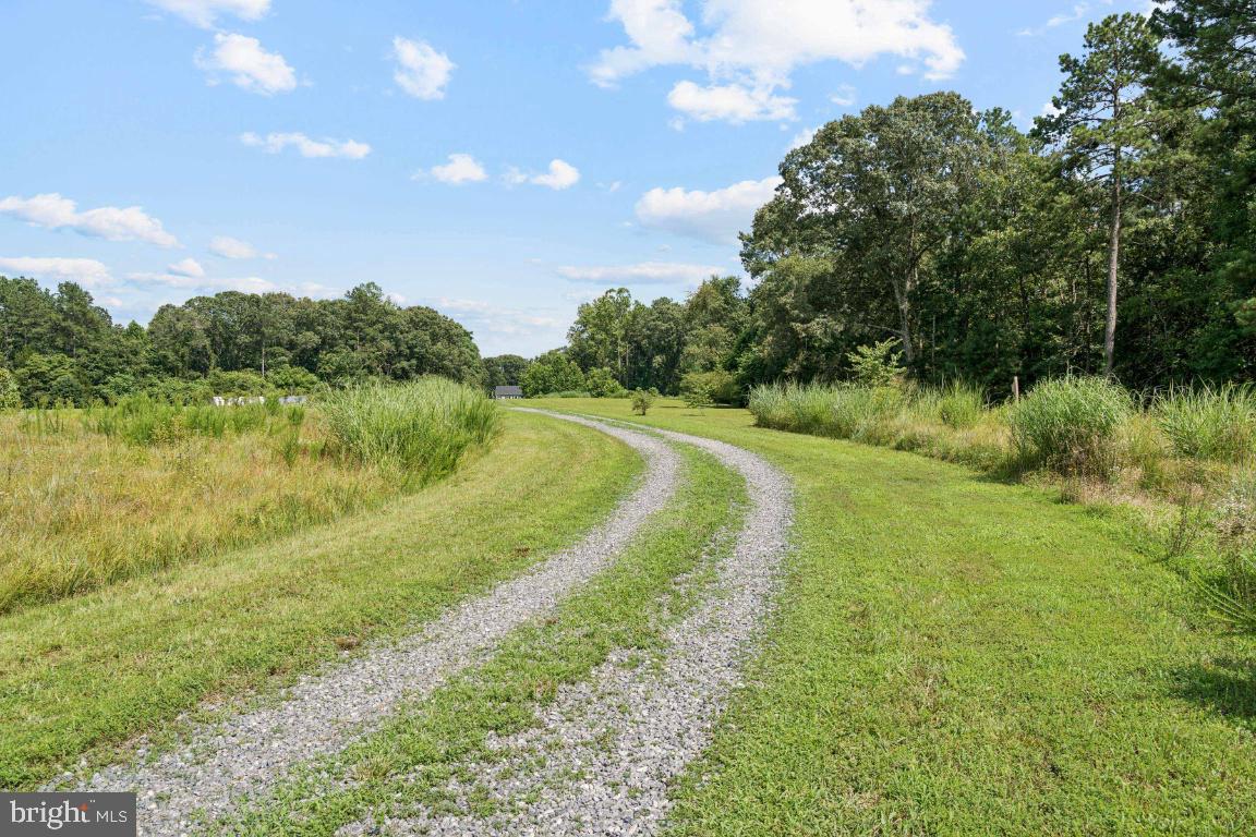 18167 LOCUST GROVE RD, BOWLING GREEN, Virginia 22427, 4 Bedrooms Bedrooms, ,2 BathroomsBathrooms,Residential,For sale,18167 LOCUST GROVE RD,VACV2008514 MLS # VACV2008514